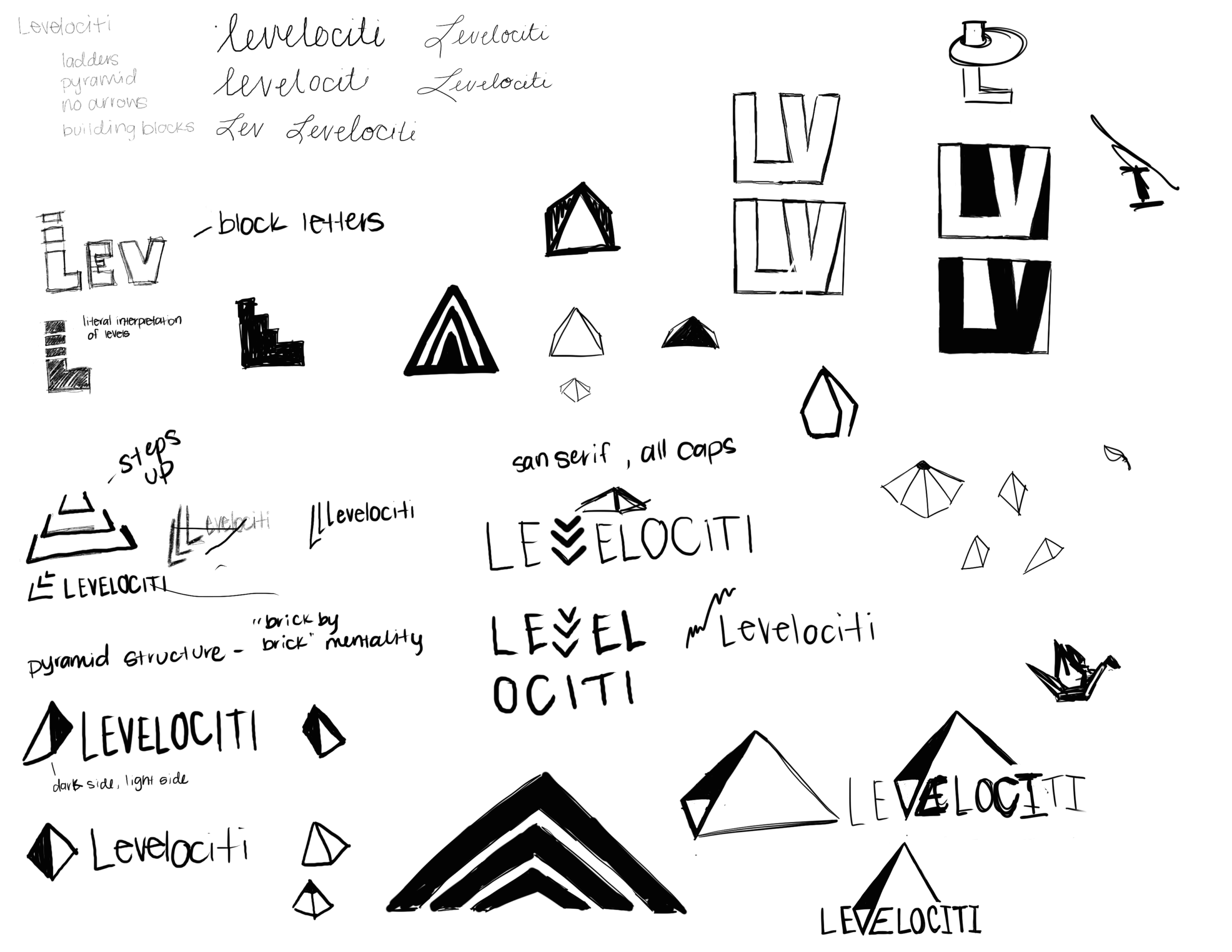 Levelociti Logo Design First Round