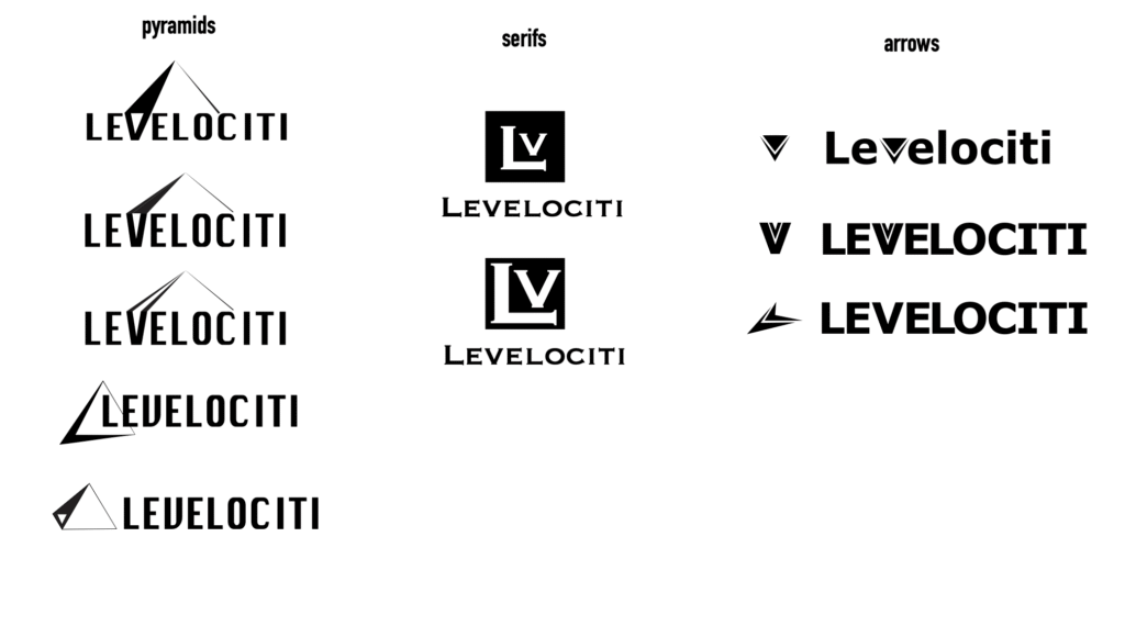 Levelociti Logo Design Second Round