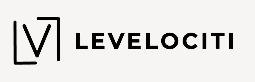 Levelociti Logo and Word Mark Design Final